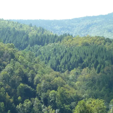 Maison Baxter Prats-de-Mollo-la-Preste